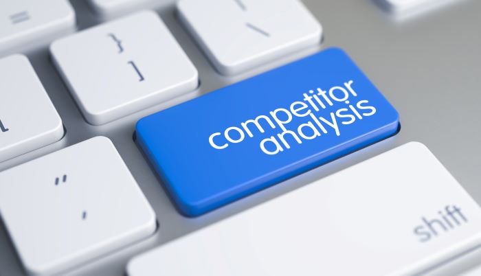 Check Some Properties of Competitors or Rivals to Understand the Price-Setting