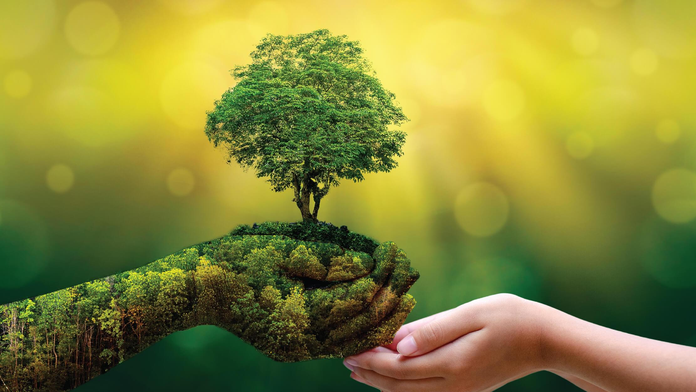 6 Ways You Can Live a Lockdown Life Hand-In-Hand With Nature